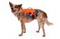 Preview: Ruffwear Web Master Harness Blaze Orange Gr. M